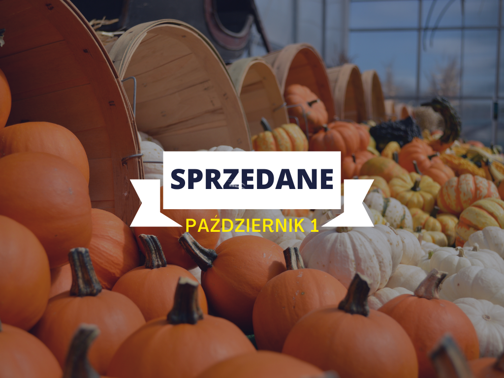 #SPRZEDANE Październik 1