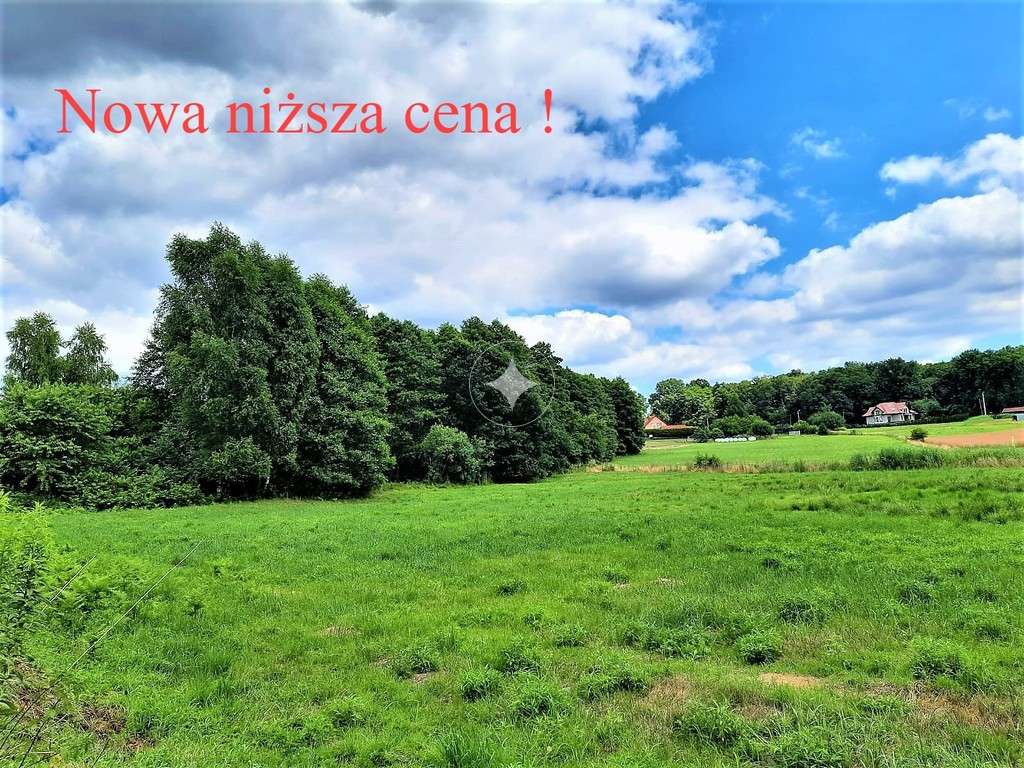Działka rolna