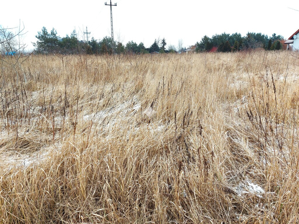 Super Działka 1731 m² – Chrzanów Mały