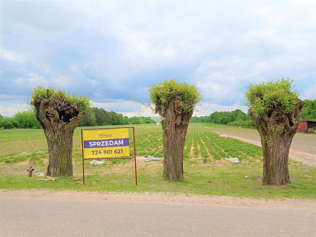 Działka nad Wisłą - 7300 m2
