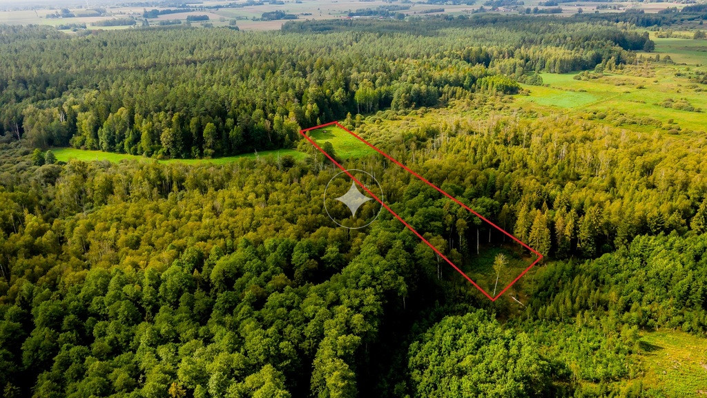Działka rolno-leśna na sprzedaż – Dobrzyniówka