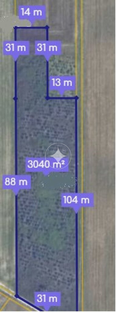 Działka z plantacją choinek - 30a