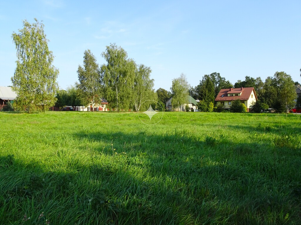 Dwie działki rolne pod zabudowę - Chotyłów