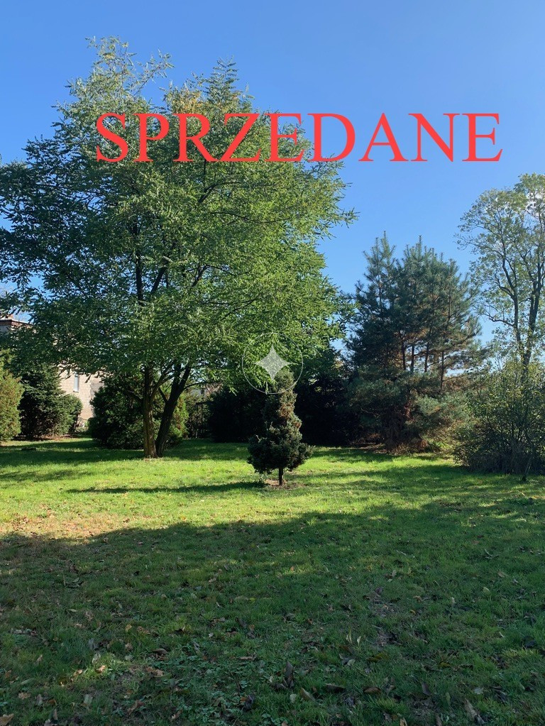Zielona działeczka.