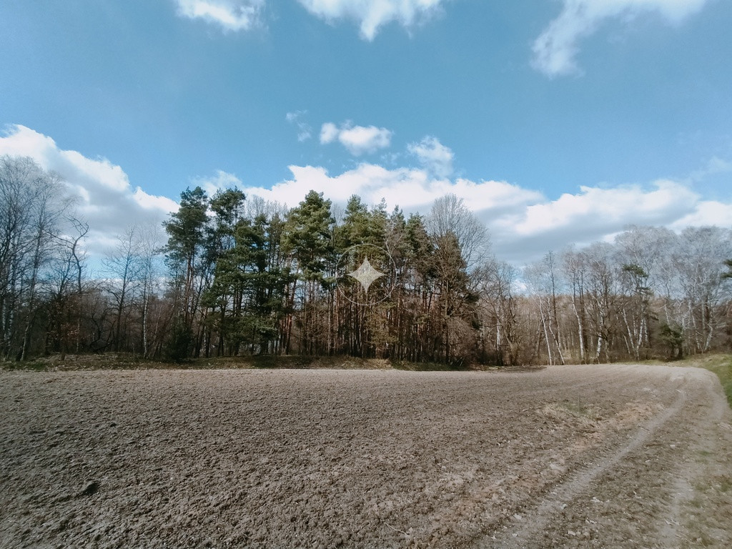 Działka Żory Rój 976 m 9,7ara