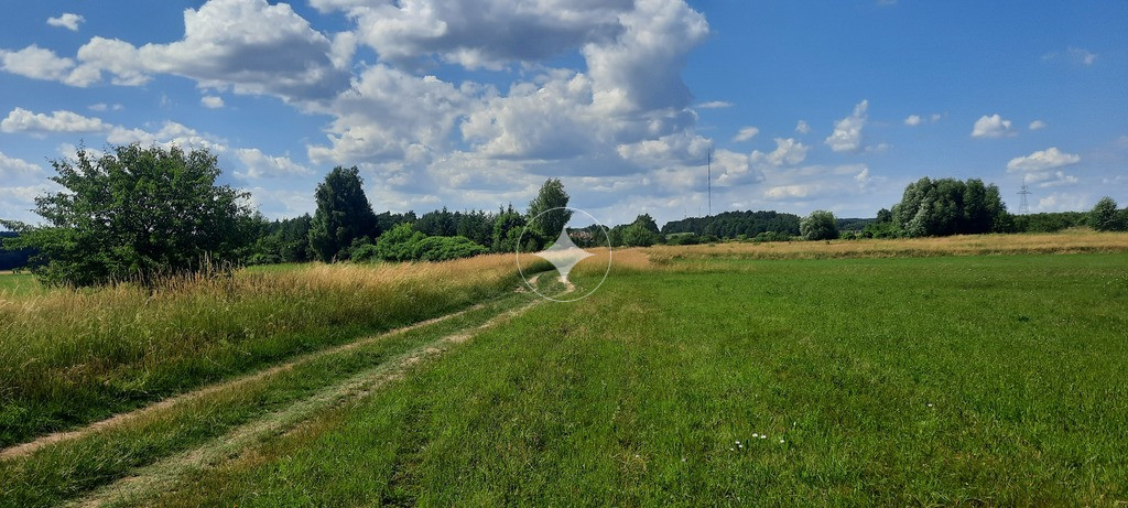 Działka rolna. Dobrzyniewo Kościelne.