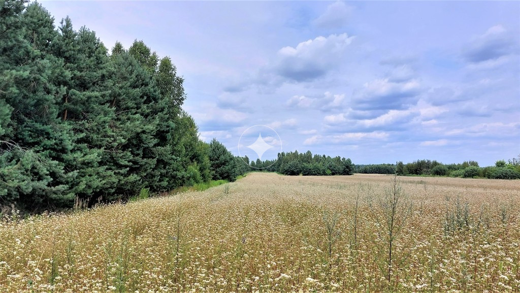 Działki budowlane Sławacinek Stary