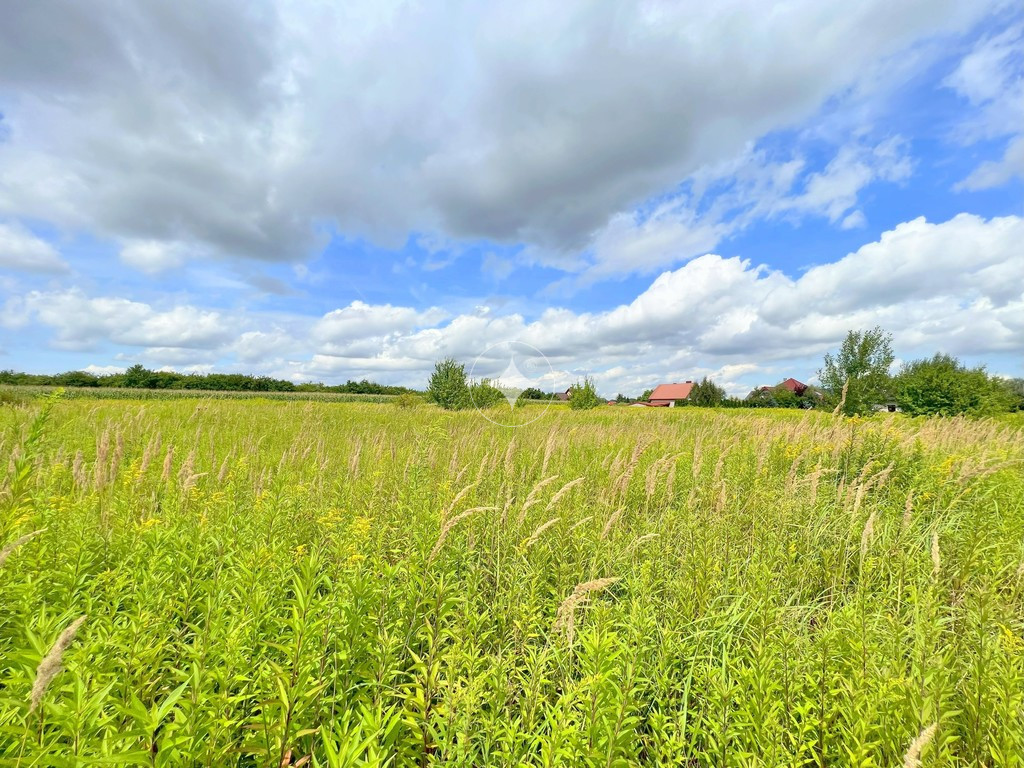 1,30ha, Bielawa, Długołęka