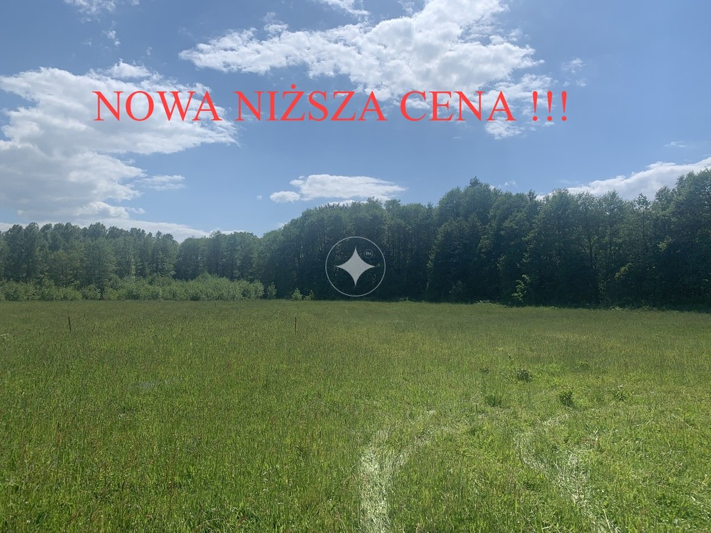 DZIAŁKA PRZY LESIE