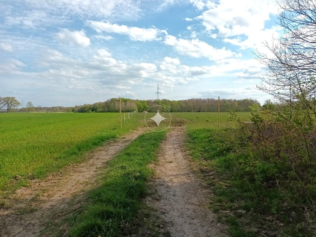 Działka siedliskowa Wodnica blisko Ustki