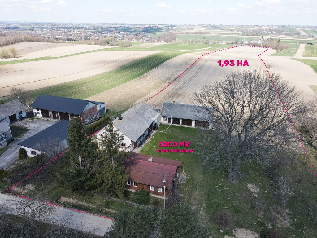 Gospodarstwo, stadnina koni, działalność, k. trasy