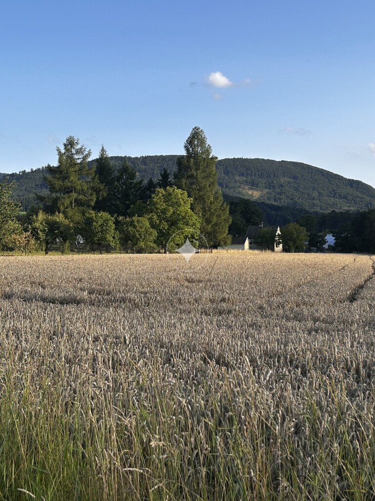 Działka rolna -  Goleszów