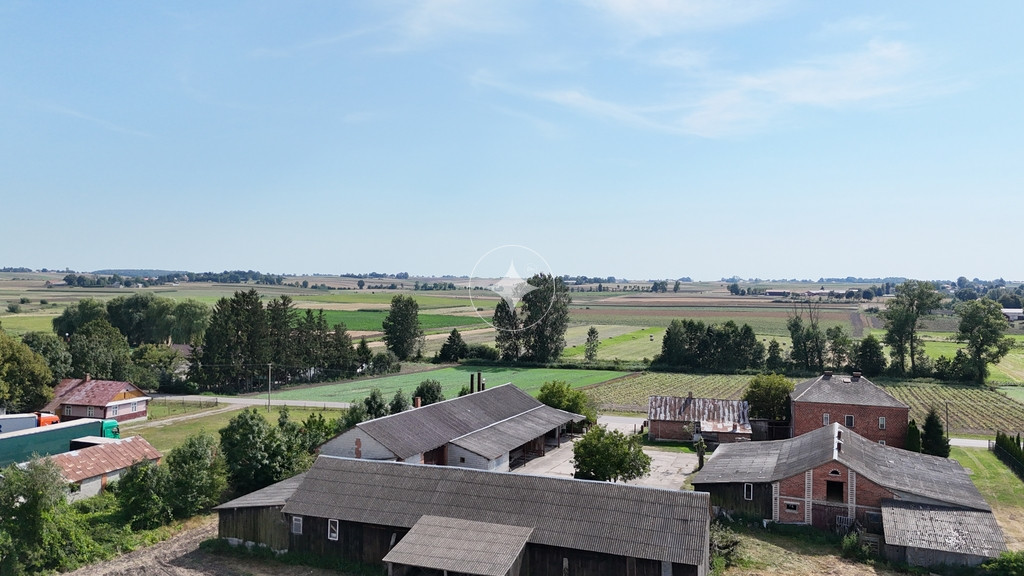 Duże siedlisko w Mołożowie