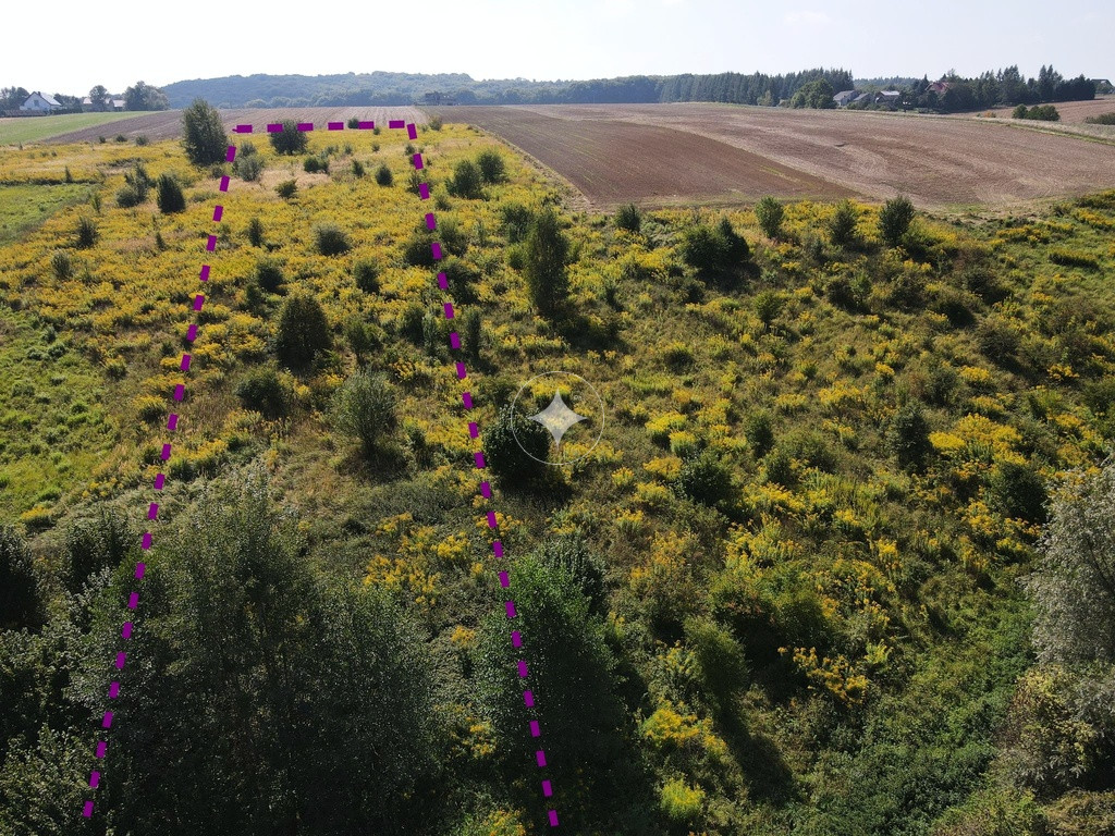 Działka koło Skały, trasa Kraków