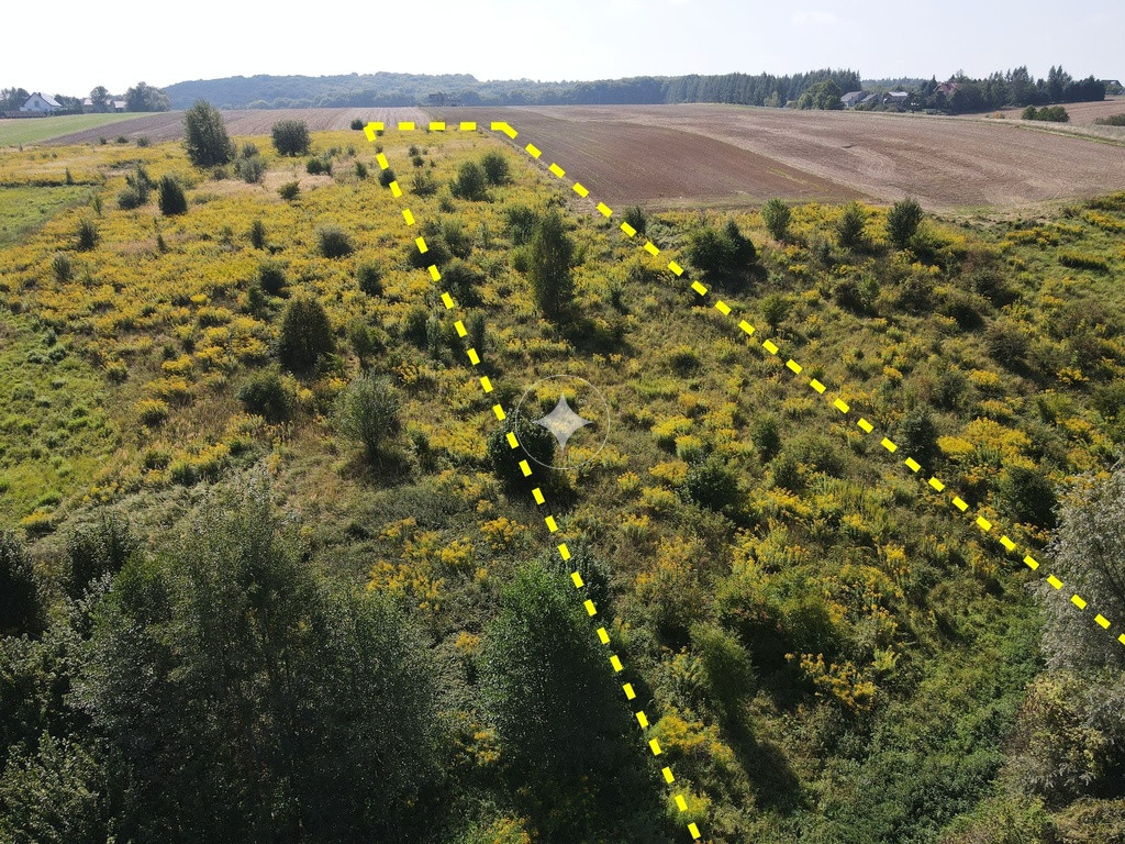 Działka koło Skały, trasa Kraków