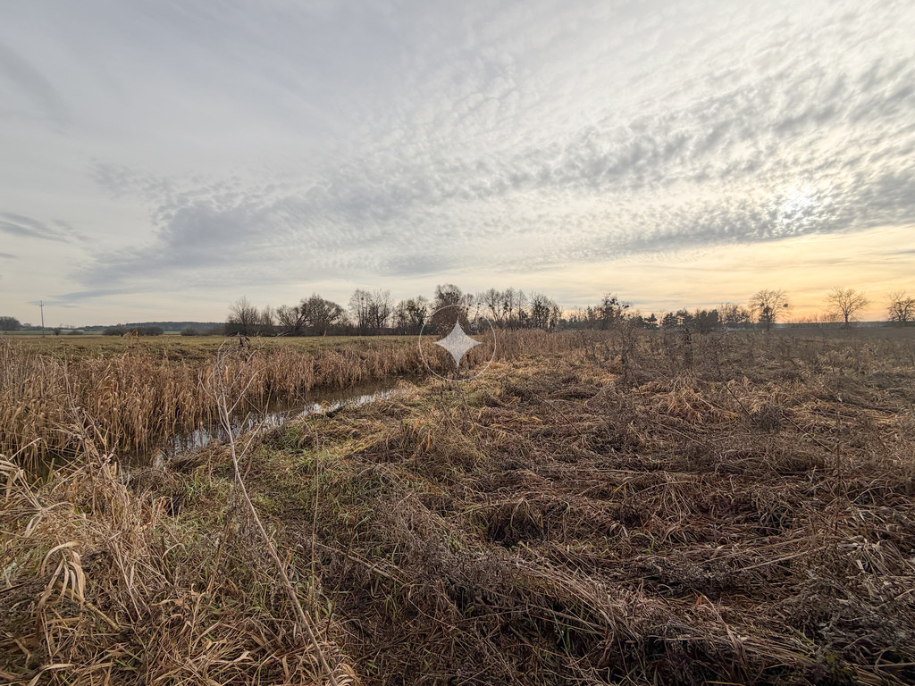 Działka rolna 0,84 ha Turka, gmina Dorohusk