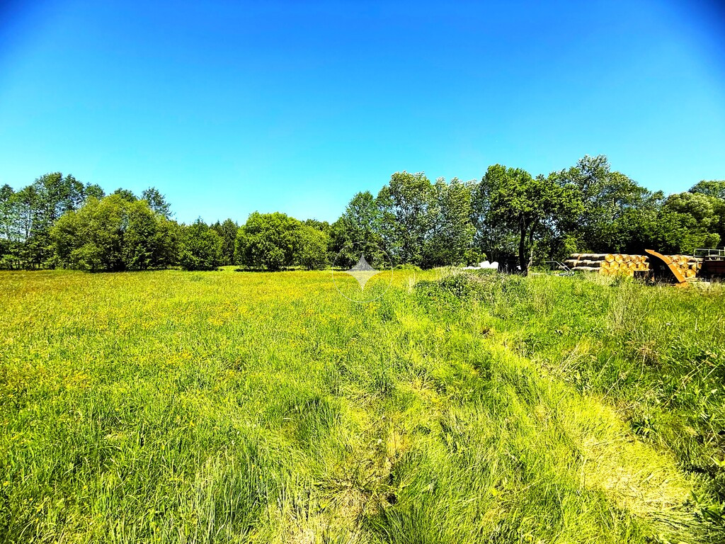 Działka na sprzedaż – cisza i natura/Borzykówka