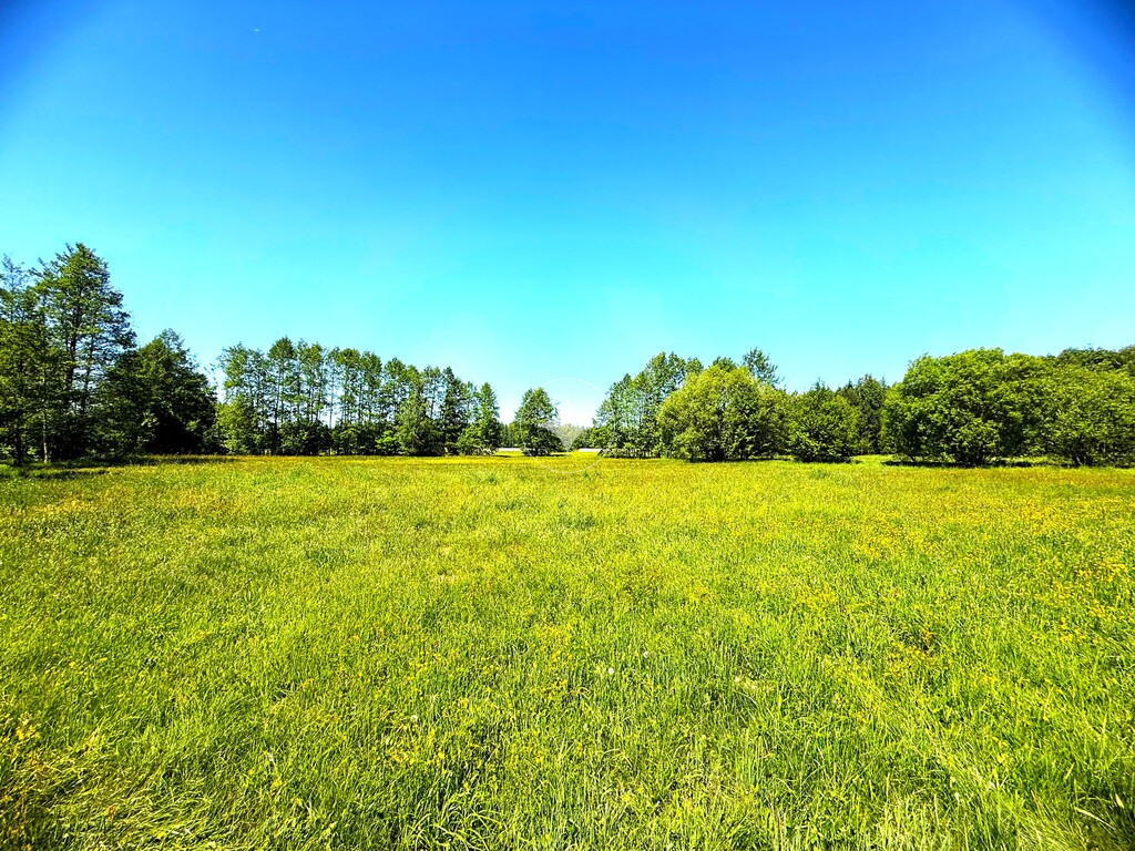 Działka na sprzedaż – cisza i natura/Borzykówka