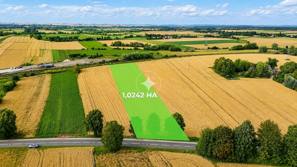1 ha pola w granicach miasta Hrubieszów