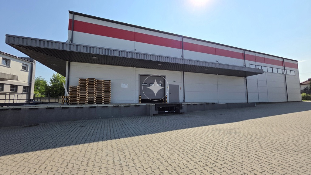 Do wynajęcia nowoczesny magazyn 1000 m²