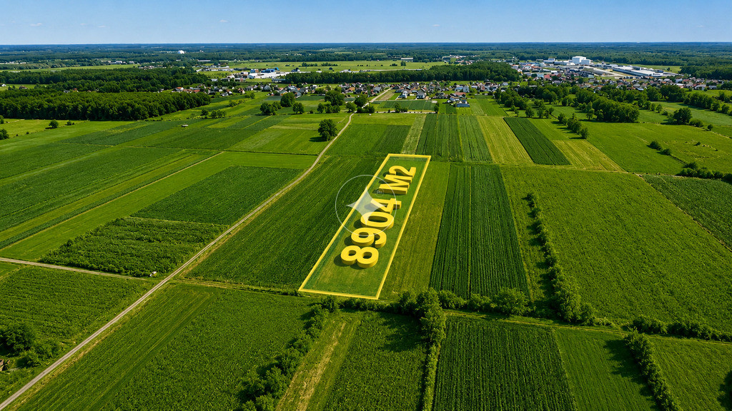 Łąka 8000m2 w  Małaszewiczach Dużych