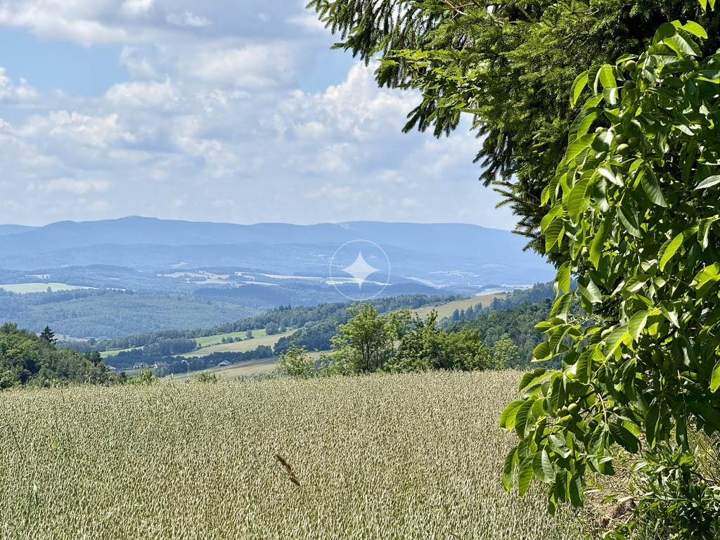 OSTATNIA działka na przeł. Kapella w Dziwiszowie!