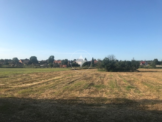 DZIAŁKA W GŁOGÓWKU