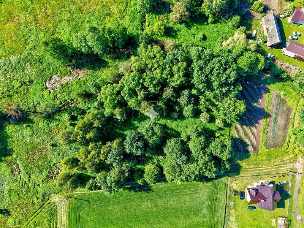 Działka budowlana 5000m2 /Skoroszów