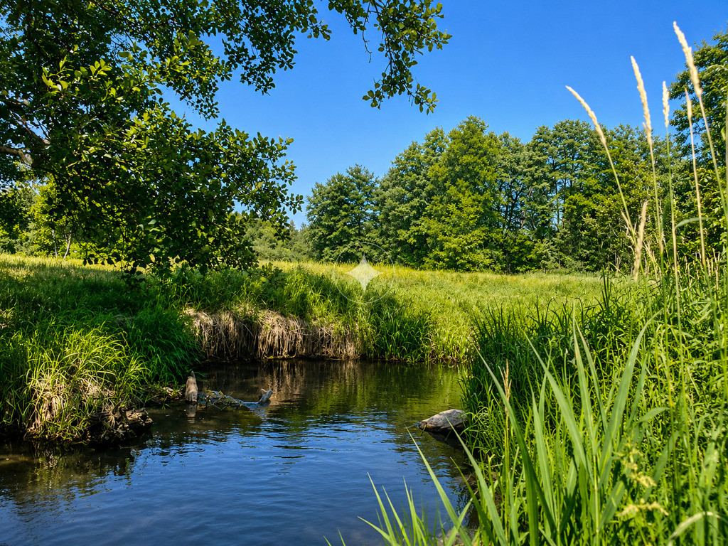 Hutki-Twój kawałek Roztocza nad rzeką Wieprz