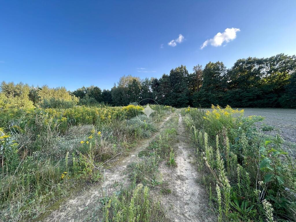 2 działki z MPZP 822m2 i 814m2– Łazy, gm. Łuków