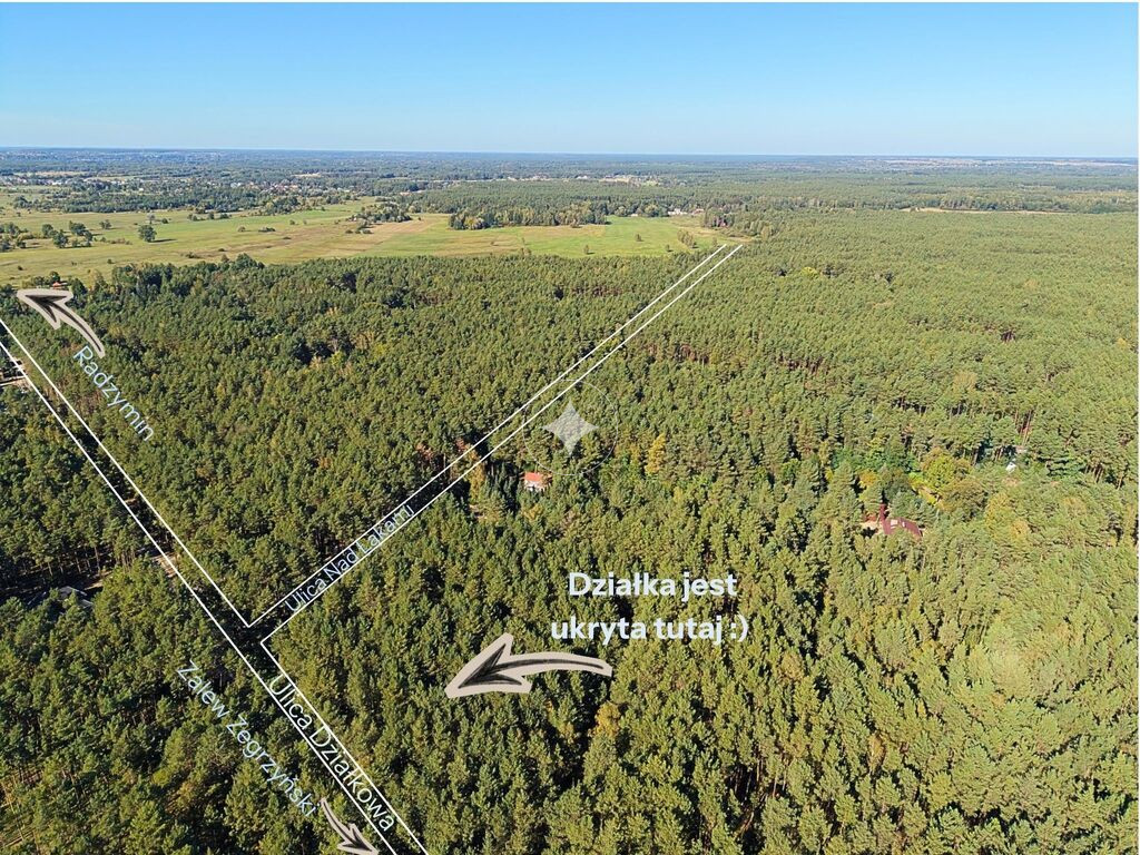 Leśna działka z naturalnymi pagórkami | Łosie gm. Radzymin